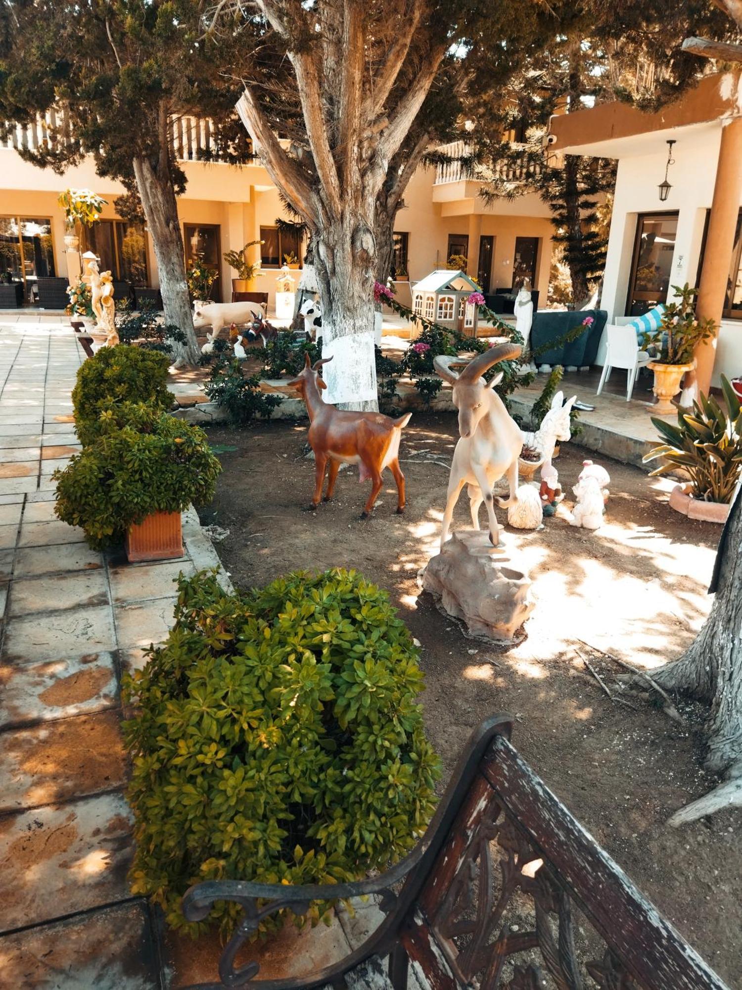 Anastasia Holiday Apartments Paphos Exterior photo